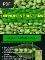 Mendel'S First Law: By: Swastika Oktavia (B1J007013)