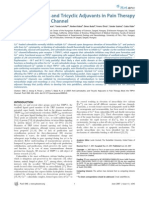 Anti-Calmodulins and Tricyclic Adjuvants in Pain Therapy Block The TRPV1 Channel