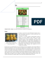 Mangifera Indica (Mango) PDF