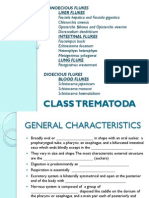 Finals Class Trematoda