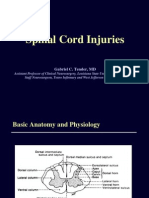 Spinal Cord Injuries