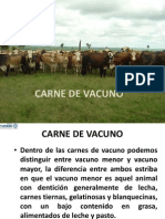 Conocimiento de Las Carnes