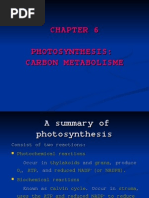 Chapter 6 - Photosynthesis Carbon Metabolism