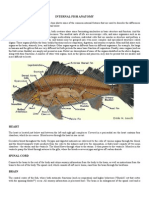 Fish Anatomy For Fish Breeding