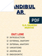 Mandibular 2 Premolar