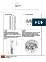 Guia de Texturas - Laboratorio de Microscopía