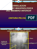 Osteopatia Cadera, Muslo, Rodilla, Pierna, Tobillo Y Pie - Emb - Pps