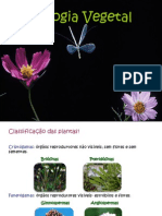 Classificação Das Plantas e Ciclos