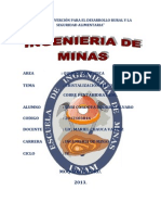 Sulfato de Cobre - Informe