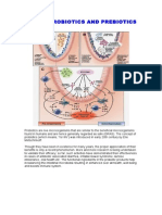 Human Probiotics and Prebiotics