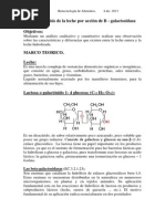 Hidrolisis Leche