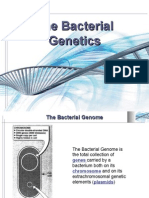 Microbiology Lecture - 05 Bacterial Genetics