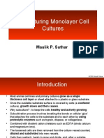 Lecture4 - Monolayer Cell Cultures