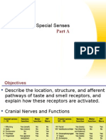 Special Senses Part 1 (Taste & Smell)