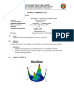 Informe de Trabajo Final