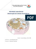 Atividade Laboratorial - Observação de Células Eucarióticas