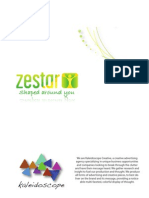 Zestar Plan Book FINAL