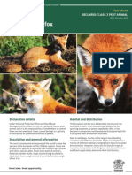 IPA Fox PA13 PDF