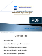 Lo Que Todo Perito Contador Debe Conocer - Guatemala