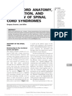 Continuum Spinal Cord Anatomy