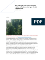 Folhas para Banhos, Folhas de Axe, Folhas Sagradas, Folhas de Orixa, Folhas de Fundamentos, Água de Abô, Água de Amassi, Água de Axé.