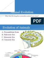 Animal Evolution