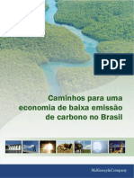 MCKINSEY & COMPANY. Caminhos para Uma Economia de Baixa Emissão de Carbono No Brasil, 2009