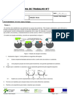 Ficha de Trabalho Nº7