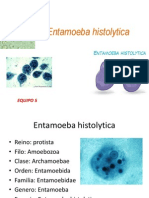 5 Amibiasis Entamoeba Hystolitica