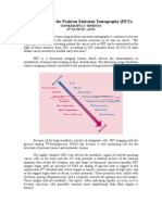 Nano Platform For Positron Emission Tomography