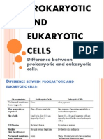 Prokaryotic and Eukaryotic Cells