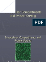 CHPT 12 Intracellular Compartments Anddfd Protein Sorting