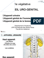 PCEM1 2008 Cours 8 Urogenital