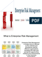 Enterprise Risk Management