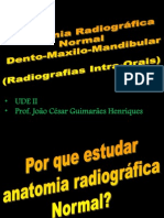 Aula Anatomia Radiográfica João César