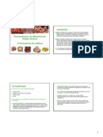 Aula Processamento de Linguicas