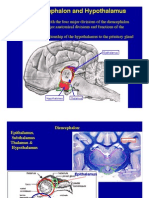 Tel Encephalo N