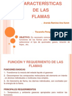 Características de Las Flamas