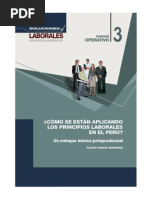 Como Se Estan Aplicando Principios Laborales en El Perú