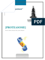 Proteasome Assignment