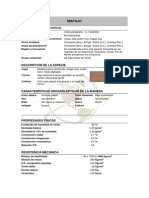 Mapajo PDF