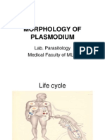 Morphology of Plasmodium: Lab. Parasitology Medical Faculty of MUY