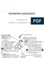 Newborn Assessment