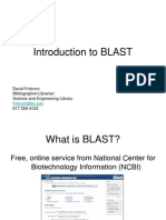 Blast Introduction