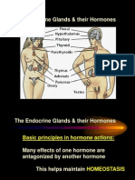 The Endocrine Glands & Their Hormones