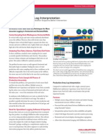 Production Array Log Interpretation