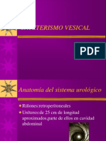 Cateterismo Vesical