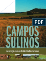 Campos Sulinos - Valerio de Patta Pillar