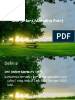 IMR (Infant Mortality Rate)