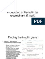 Production of Humulin by Recombinant E